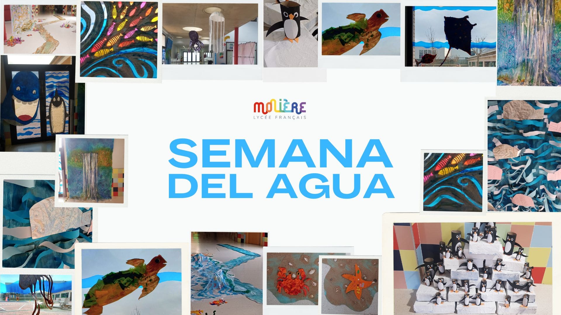 Semana del agua en el colegio