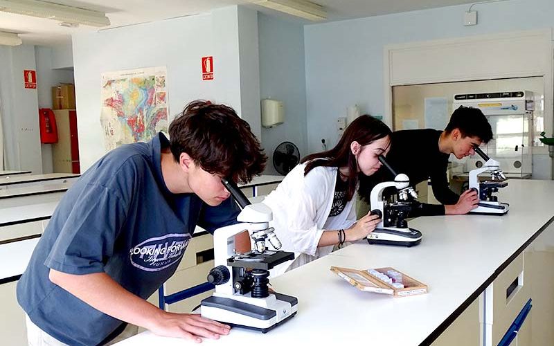 Educación bachillerato