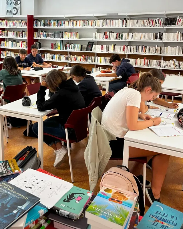 Students in Molière library