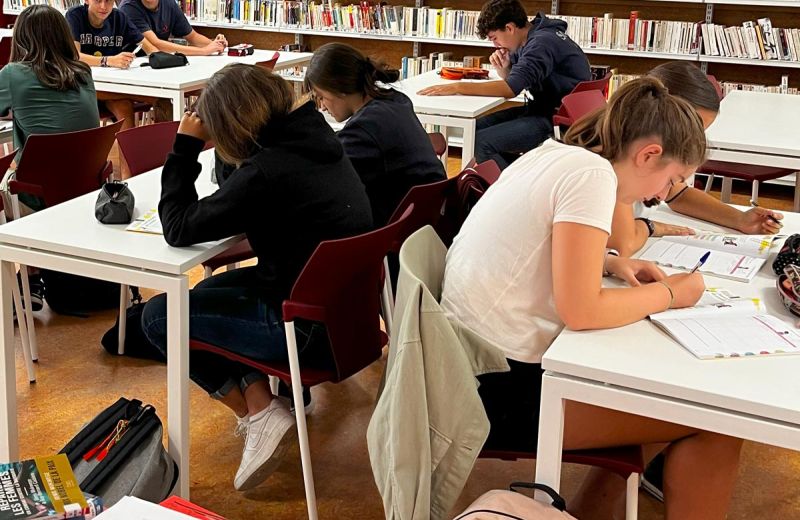 Students in the library